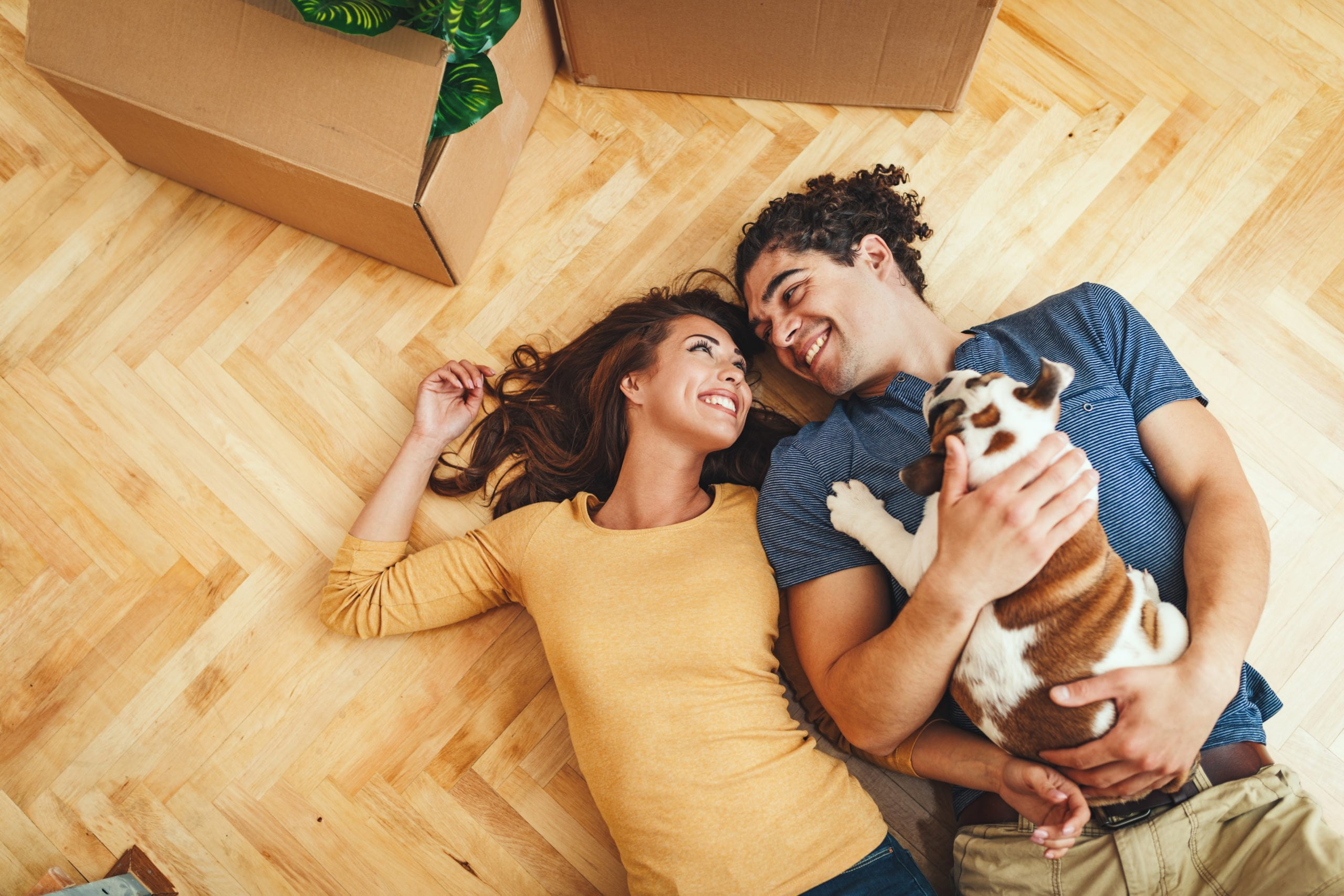 15 Things to Look for When Choosing a Lot for a New Home